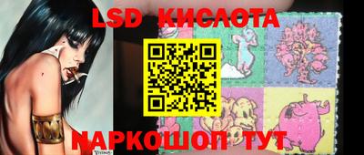 дмт Кандалакша