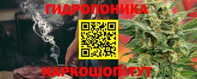 прущие грибы Тара
