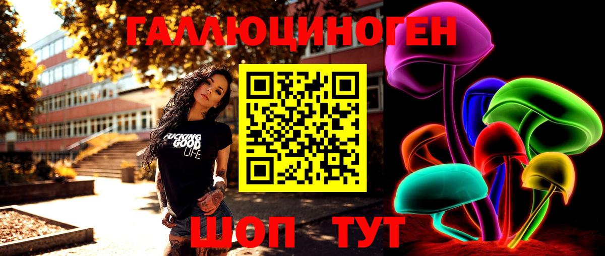 Галлюциногенные грибы MAGIC MUSHROOMS  купить наркотики сайты  Курчалой  Вход с VPN 