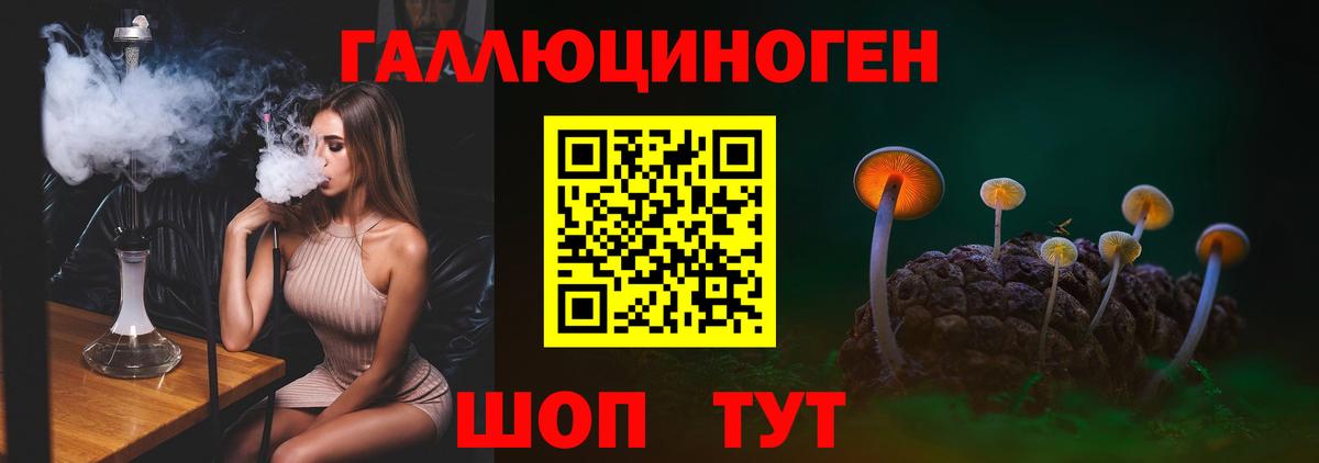 Псилоцибиновые грибы прущие грибы Курчалой